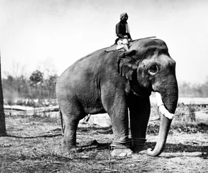 Jung Pershad, Maharaja Sir Jang Bahadur